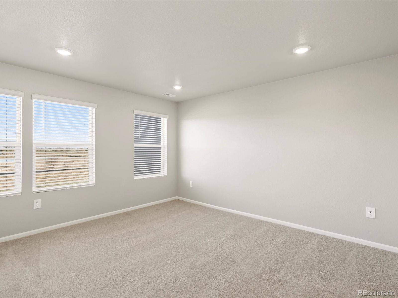 MLS Image #12 for 1596  riverplace drive,windsor, Colorado