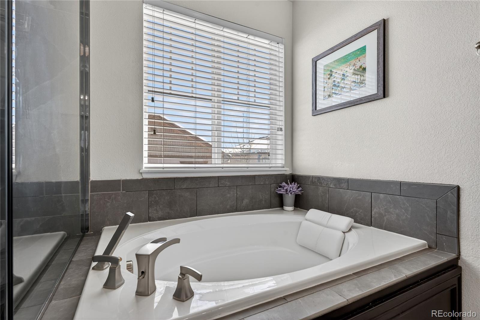 MLS Image #16 for 4861 s picadilly court,aurora, Colorado