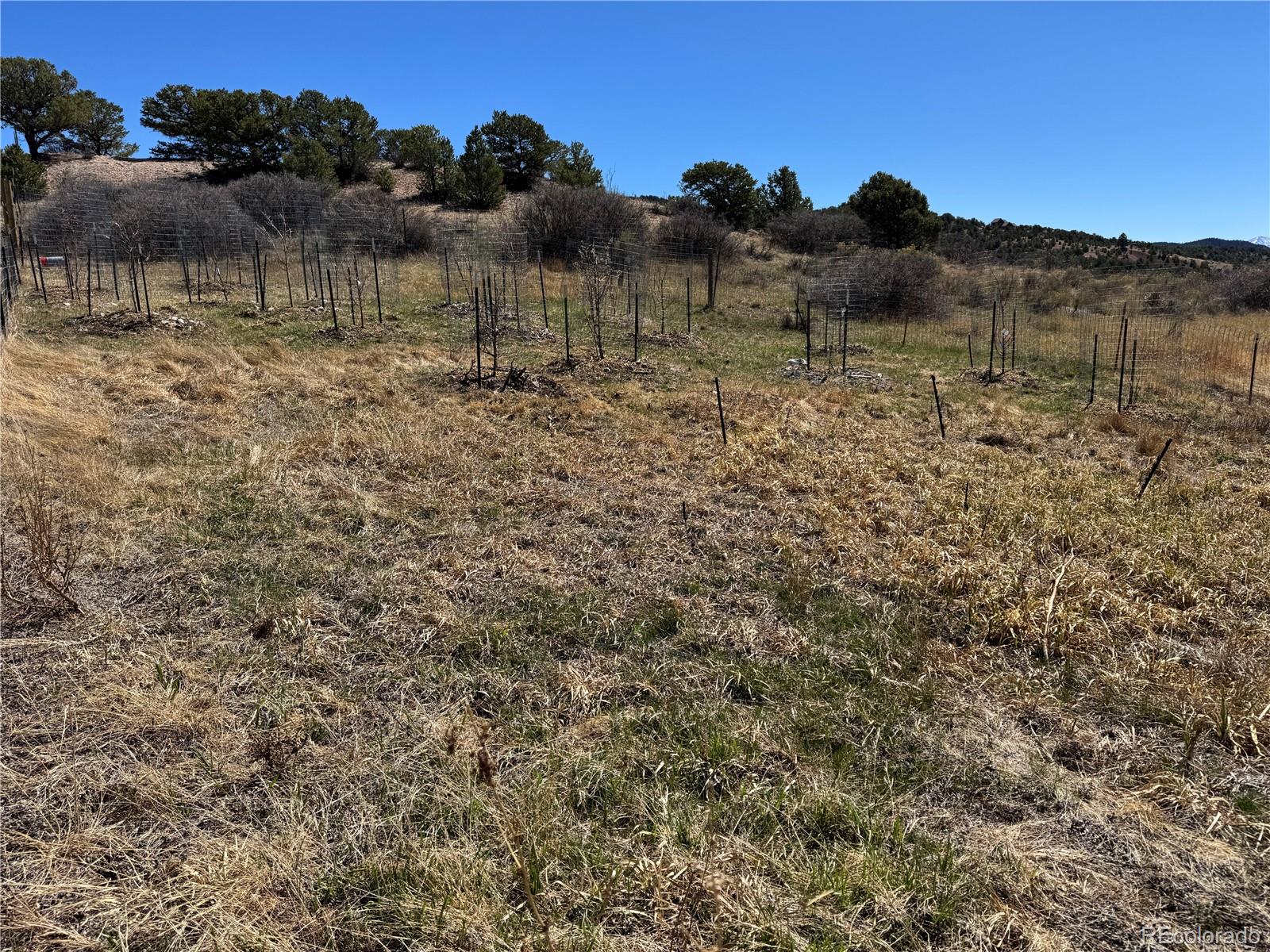MLS Image #34 for 16103  us highway 285 ,salida, Colorado