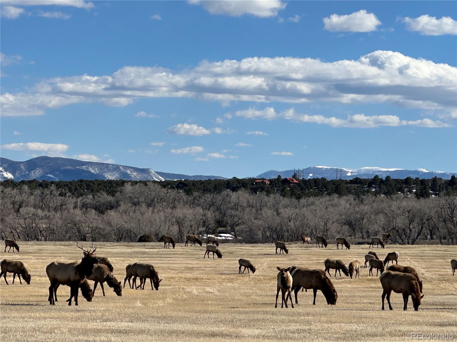 MLS Image #49 for 16103  us highway 285 ,salida, Colorado