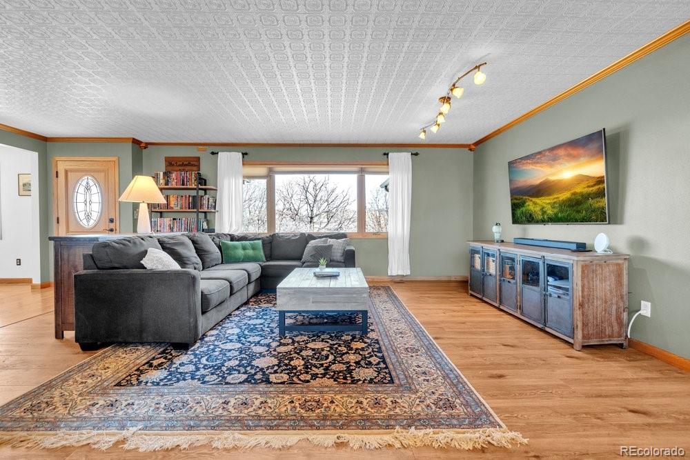 MLS Image #4 for 4155  rainbow plaza,sedalia, Colorado