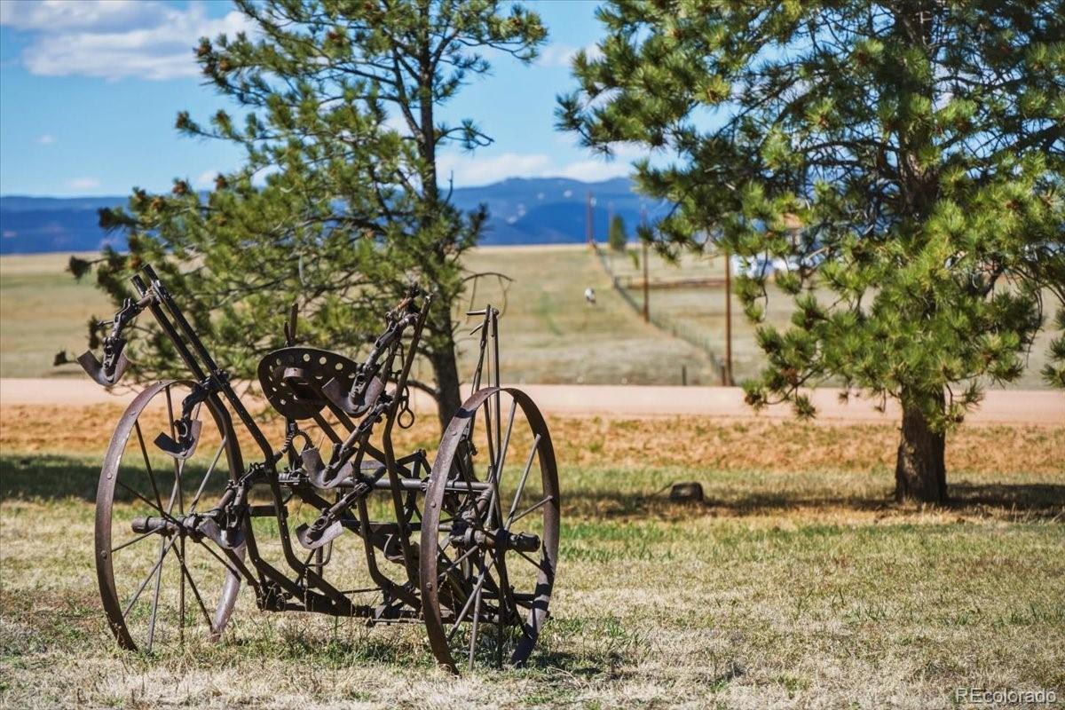 MLS Image #44 for 12720  mesa view road,larkspur, Colorado