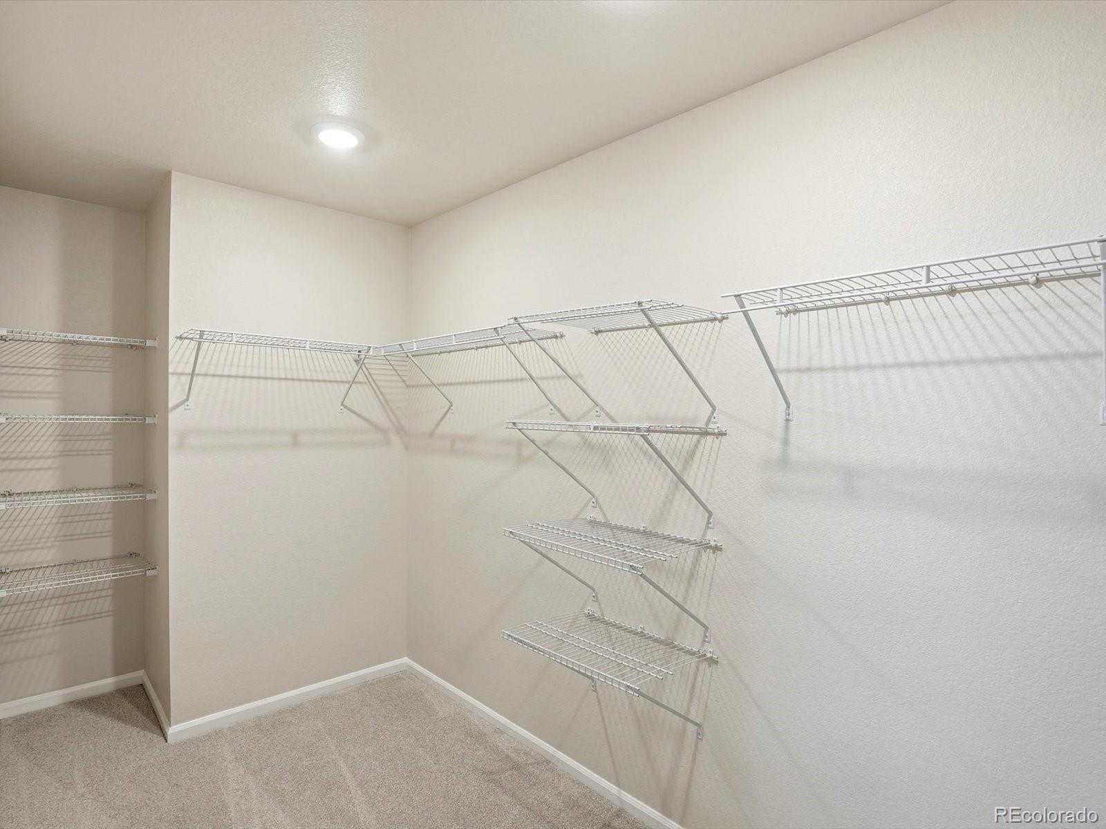MLS Image #29 for 1216  spring creek drive,windsor, Colorado