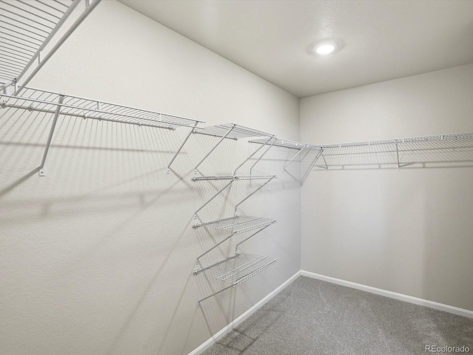 MLS Image #30 for 1216  spring creek drive,windsor, Colorado
