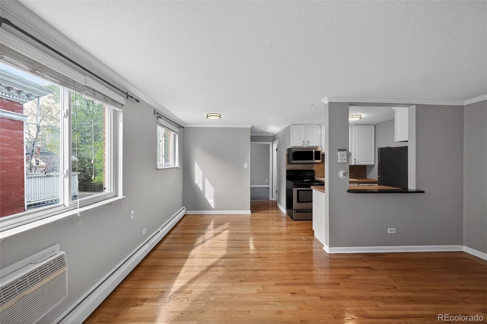 MLS Image #17 for 1242  gaylord street,denver, Colorado