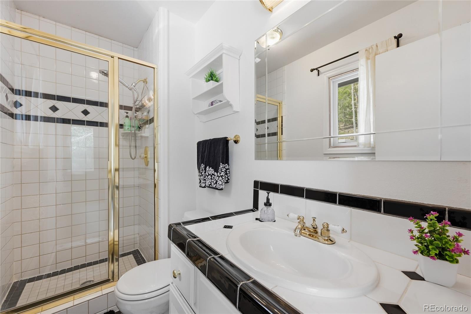 MLS Image #10 for 70  jackpine lane,evergreen, Colorado