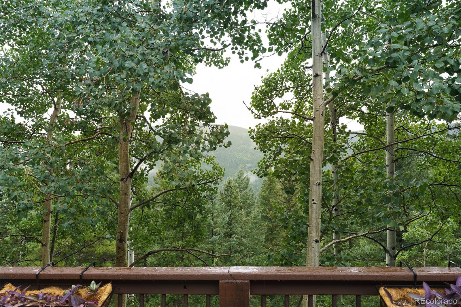 MLS Image #24 for 70  jackpine lane,evergreen, Colorado
