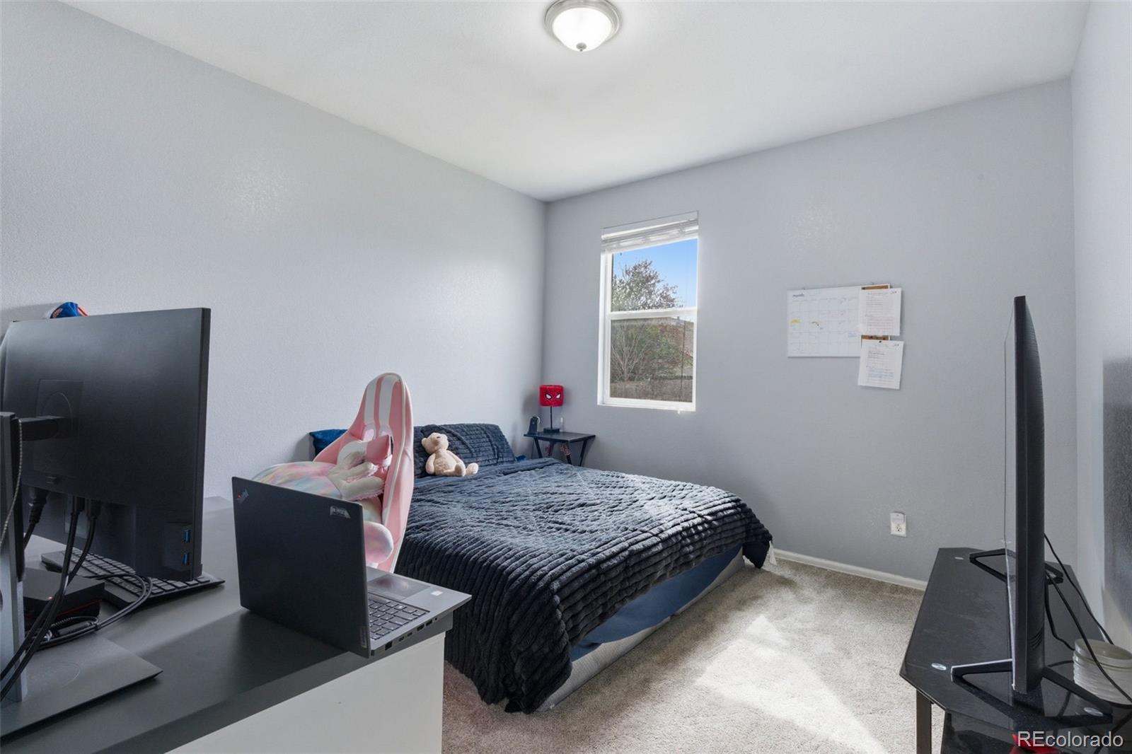 MLS Image #8 for 455 s 35th court,brighton, Colorado