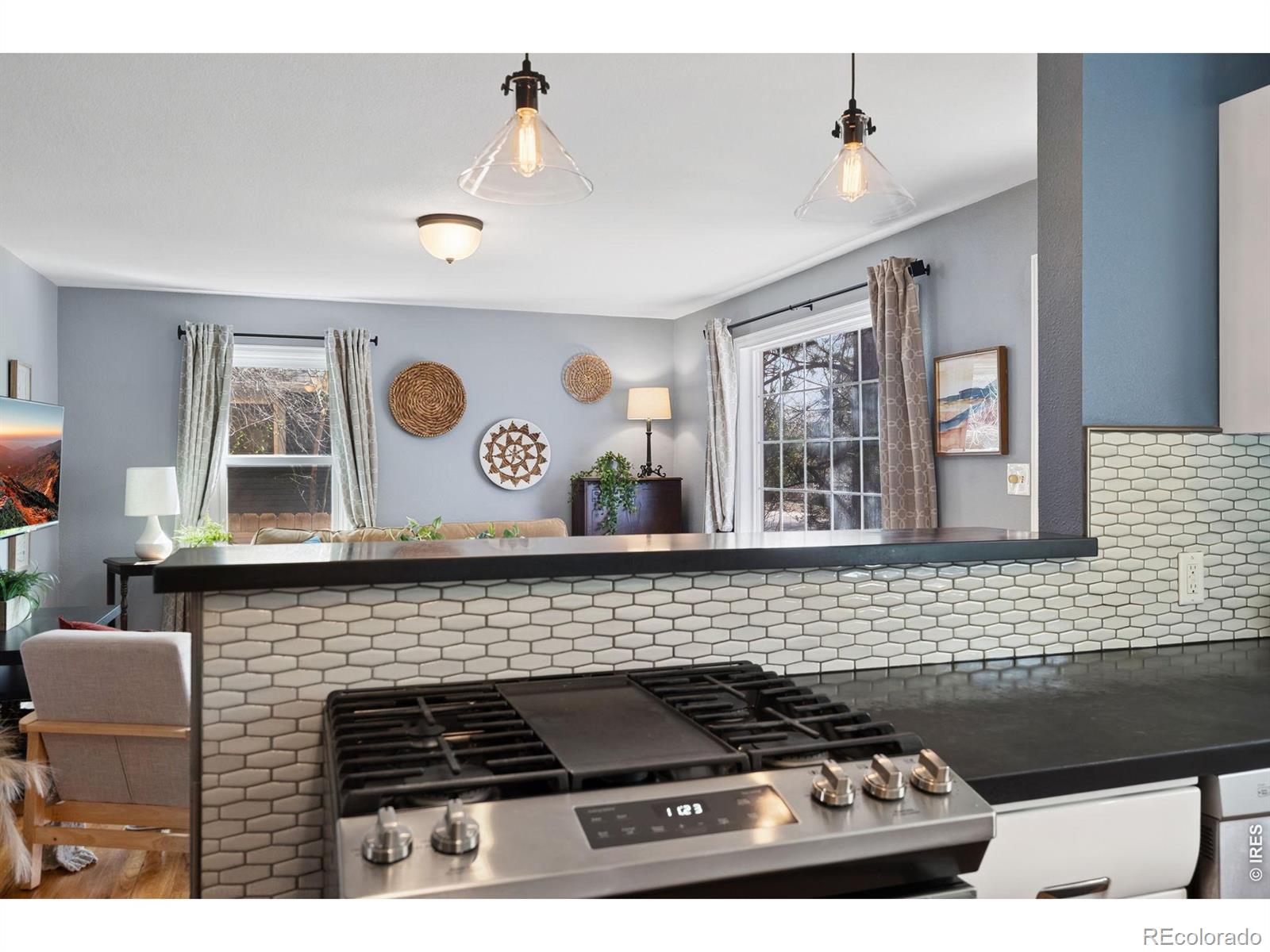 MLS Image #10 for 924  sycamore street,fort collins, Colorado