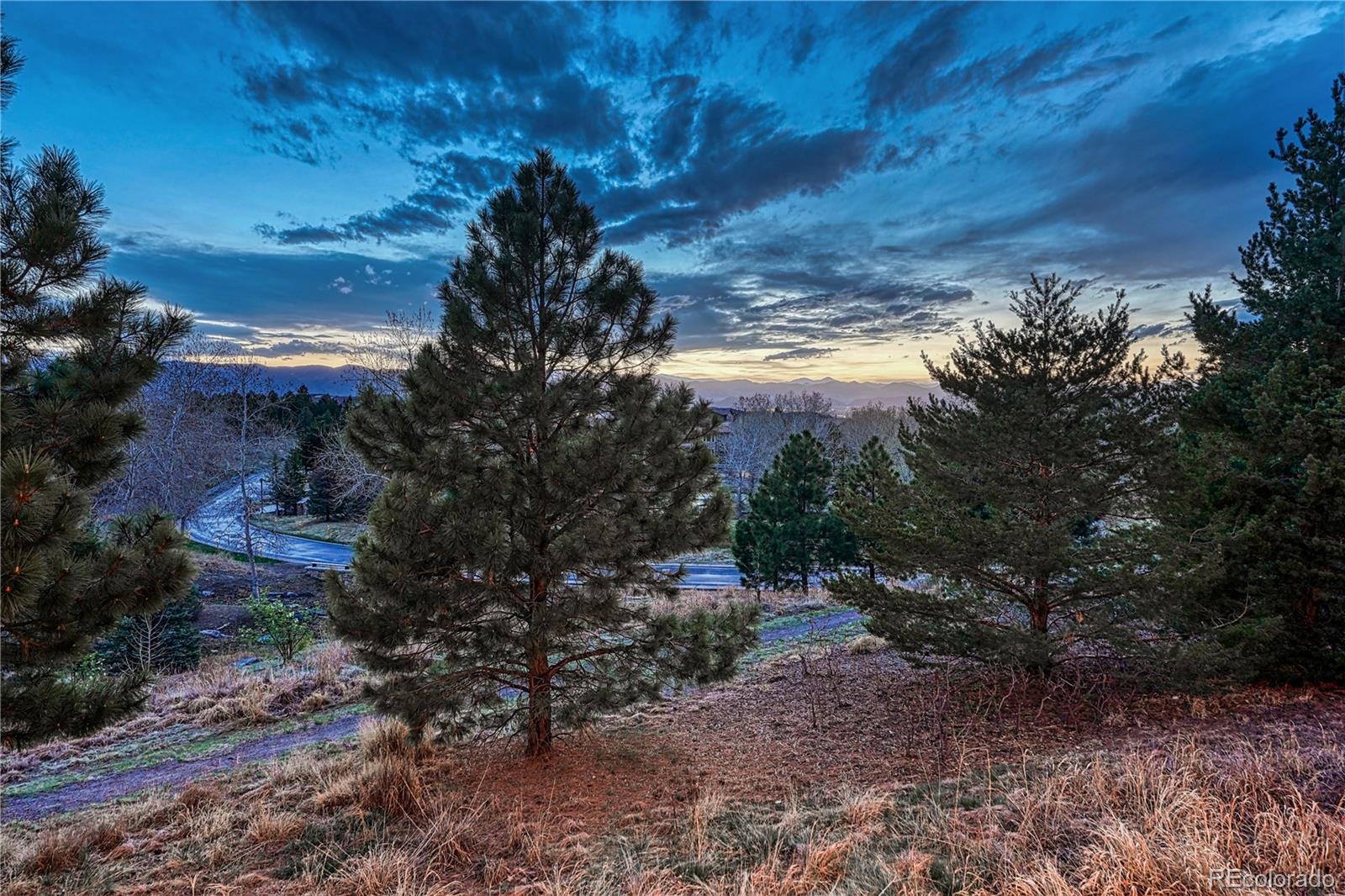 MLS Image #40 for 283  maplehurst drive,highlands ranch, Colorado