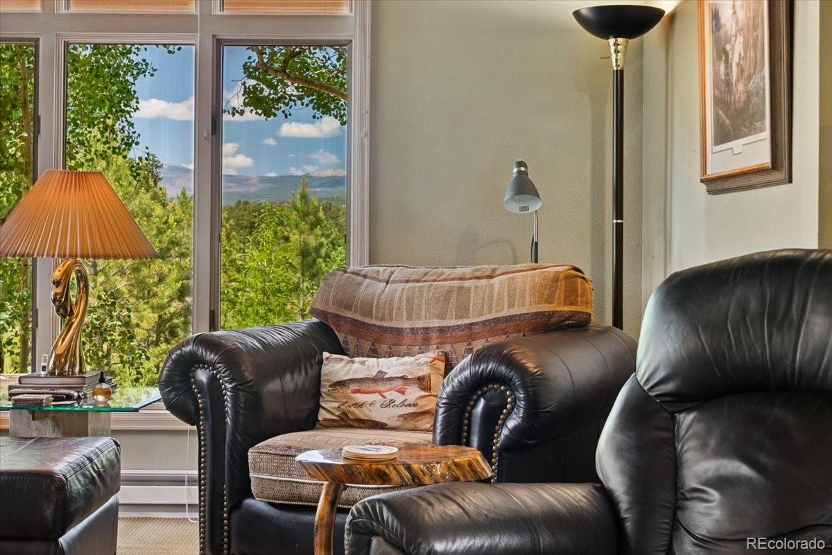 MLS Image #4 for 40  3 lakes ct ,red feather lakes, Colorado