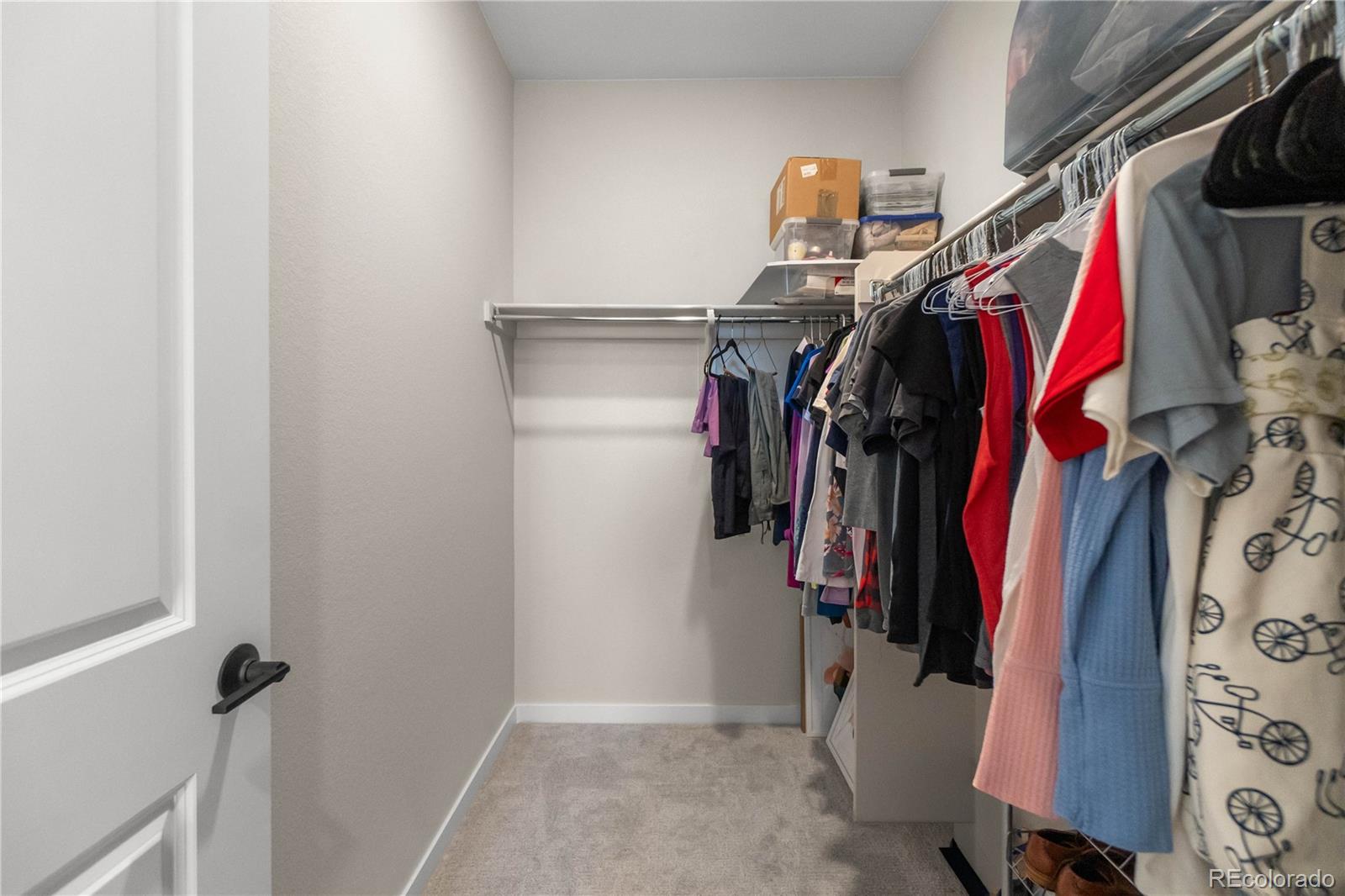 MLS Image #40 for 8484  orchard city drive,littleton, Colorado
