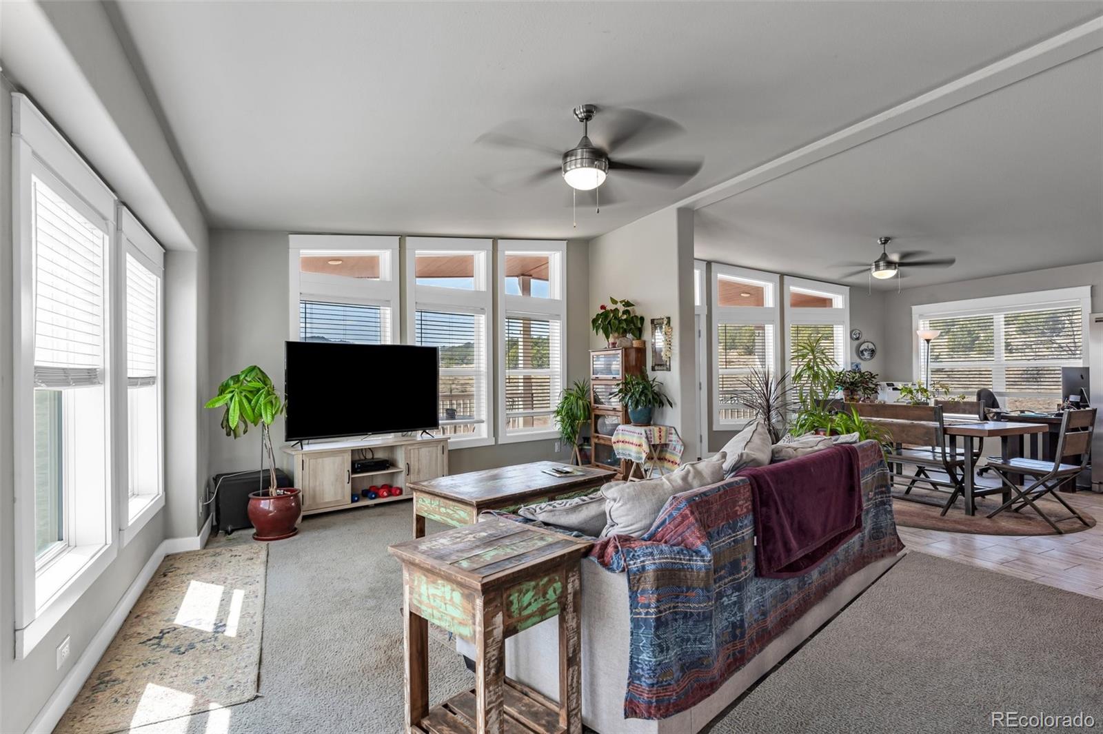 MLS Image #5 for 1787  17th trail,cotopaxi, Colorado