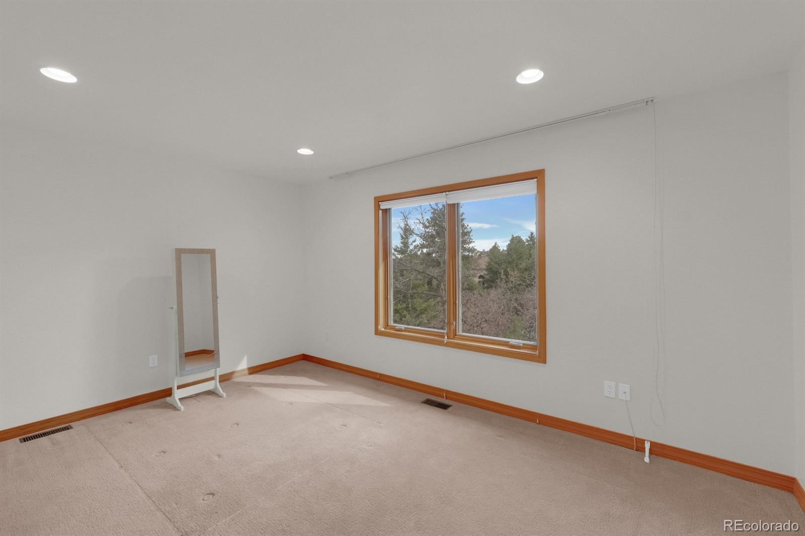 MLS Image #28 for 5915  gladstone street,colorado springs, Colorado