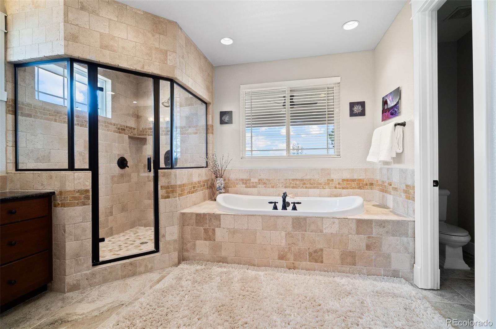 MLS Image #21 for 601 n pines trail,parker, Colorado