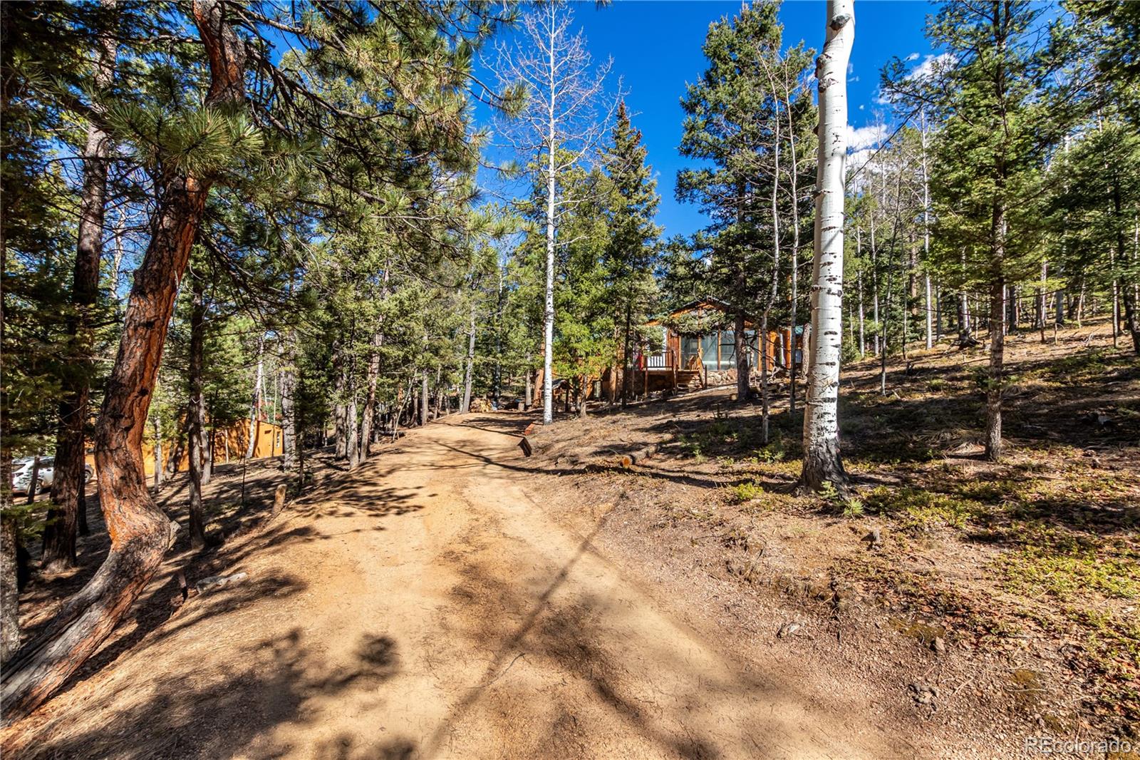 MLS Image #30 for 44  anderson road,florissant, Colorado
