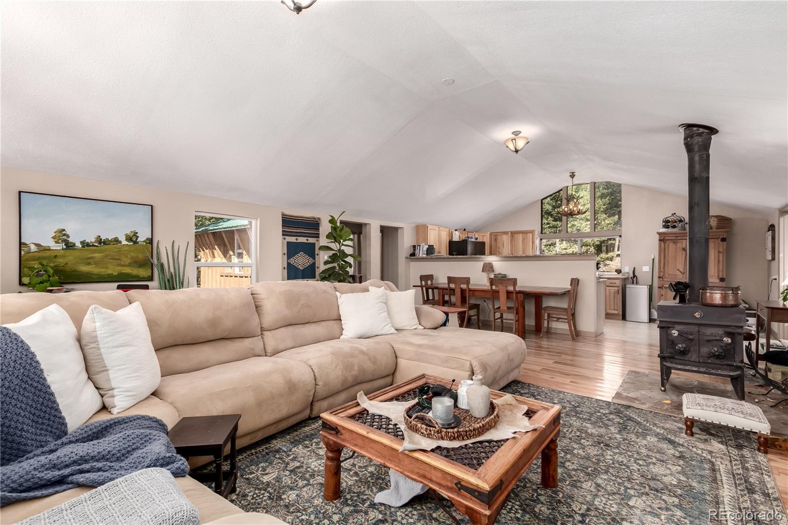 MLS Image #6 for 44  anderson road,florissant, Colorado