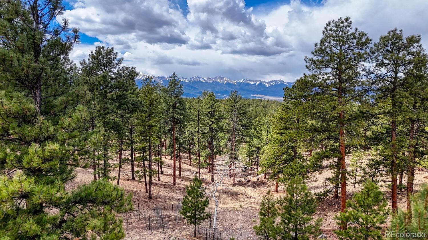 MLS Image #44 for 47  wykagyl circle,westcliffe, Colorado