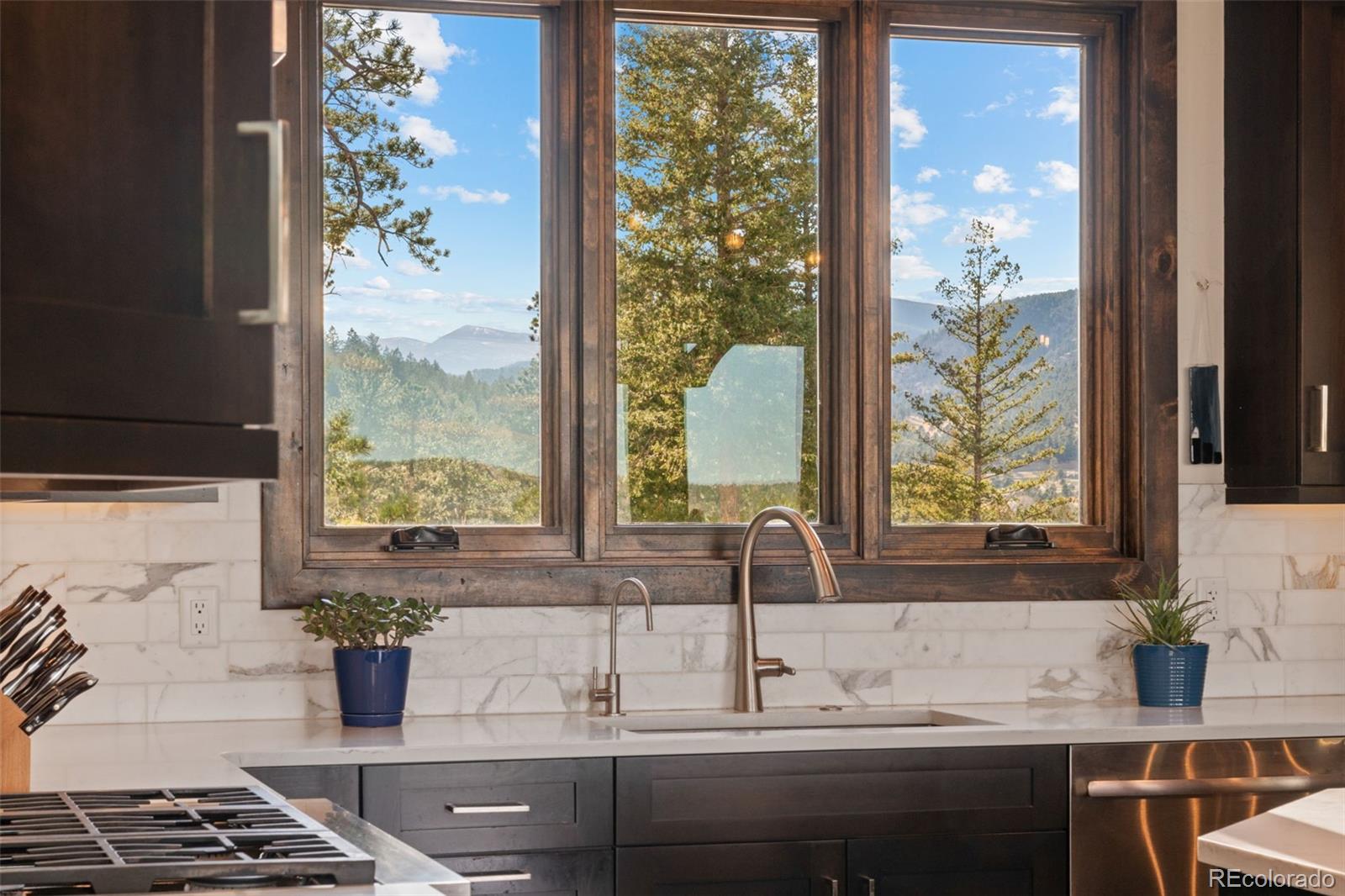 MLS Image #21 for 3344  timbergate trail,evergreen, Colorado