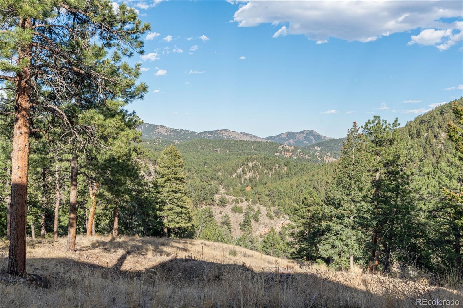 MLS Image #47 for 3344  timbergate trail,evergreen, Colorado