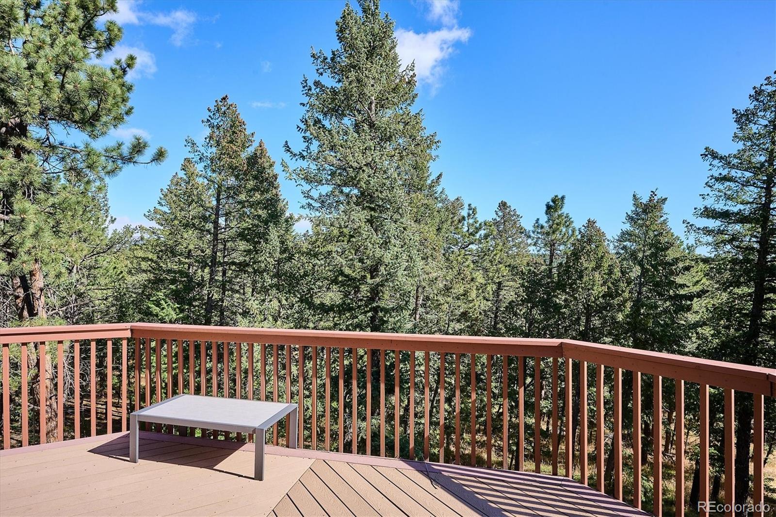 MLS Image #24 for 30243  pine crest drive,evergreen, Colorado