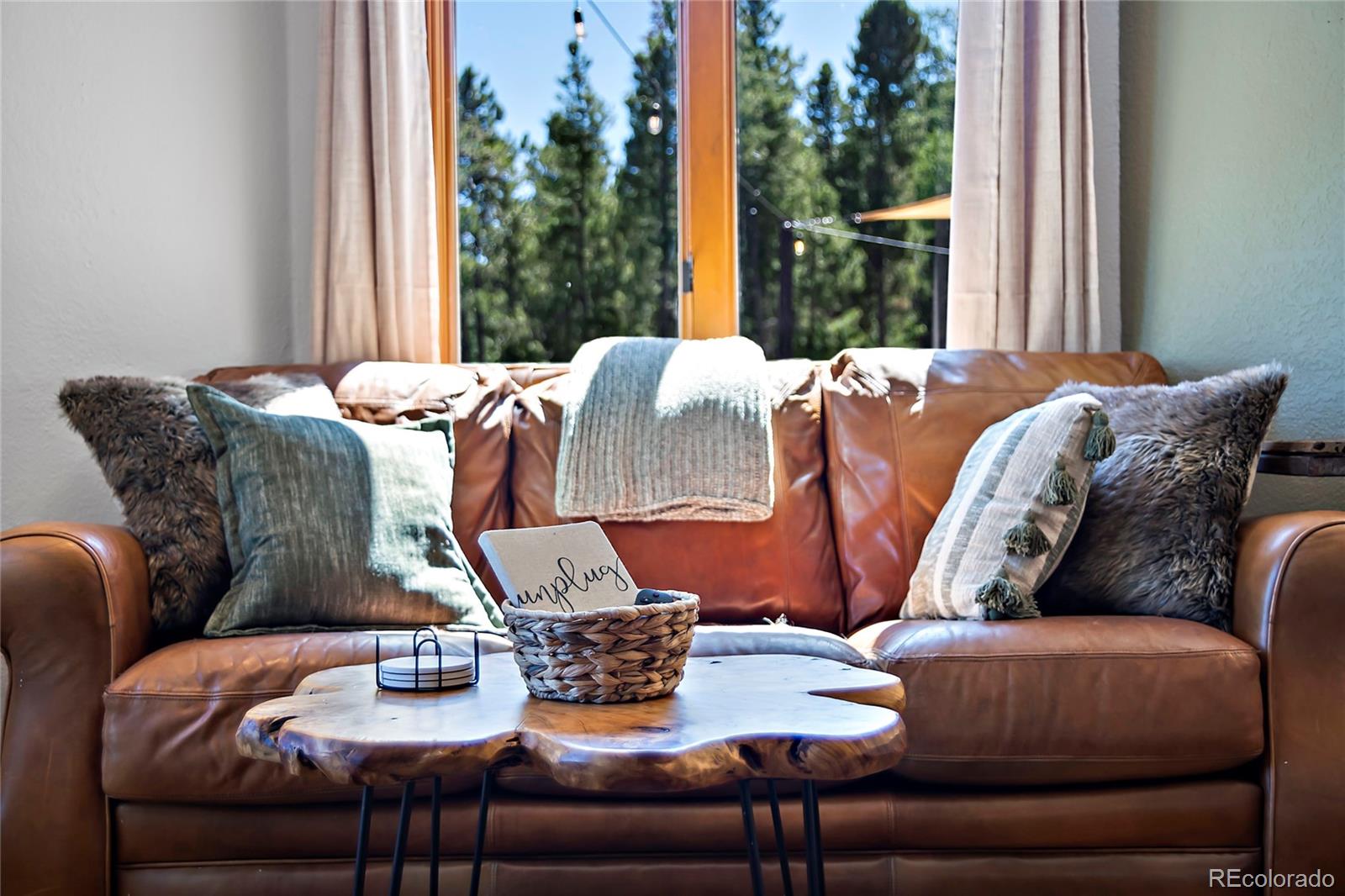 MLS Image #6 for 129  martin drive,evergreen, Colorado