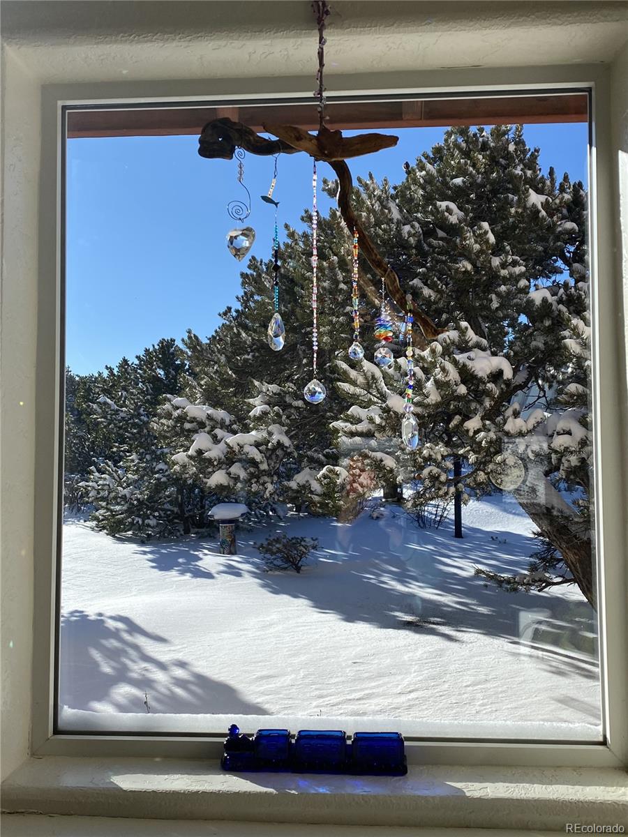 MLS Image #12 for 3818  fontaine road,fort garland, Colorado