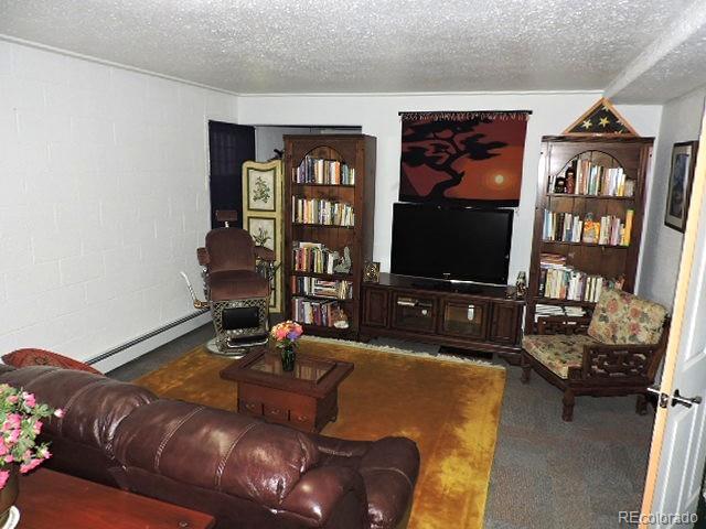 MLS Image #19 for 3818  fontaine road,fort garland, Colorado