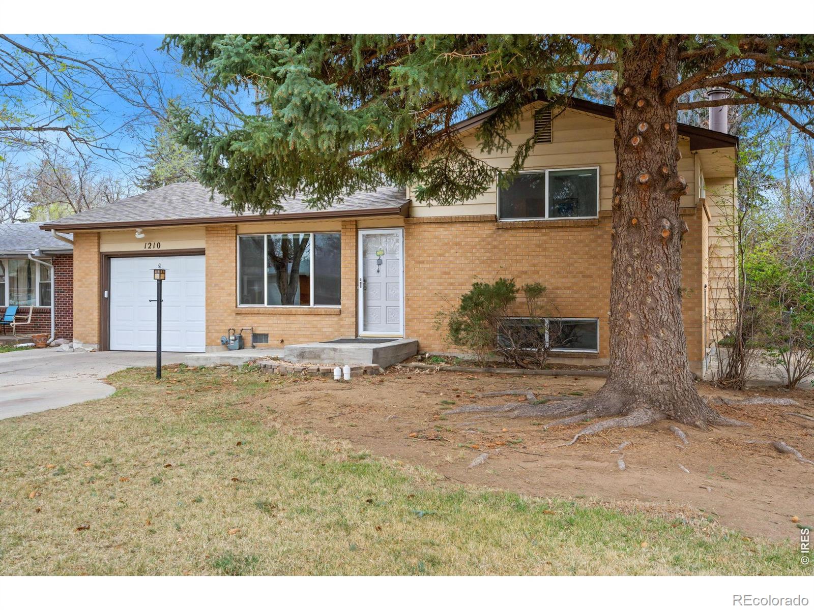 MLS Image #3 for 1210  gard place,loveland, Colorado