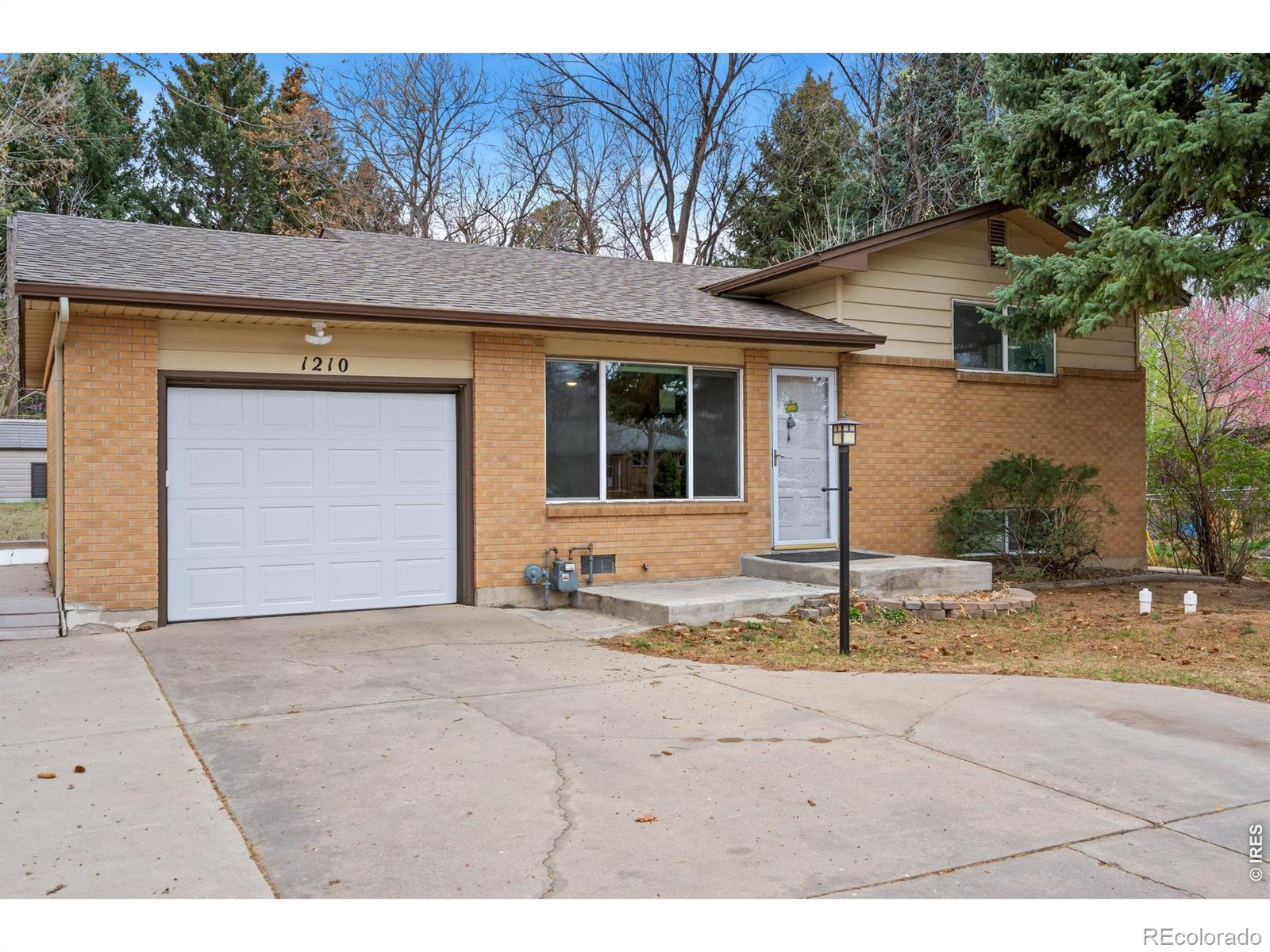 MLS Image #4 for 1210  gard place,loveland, Colorado