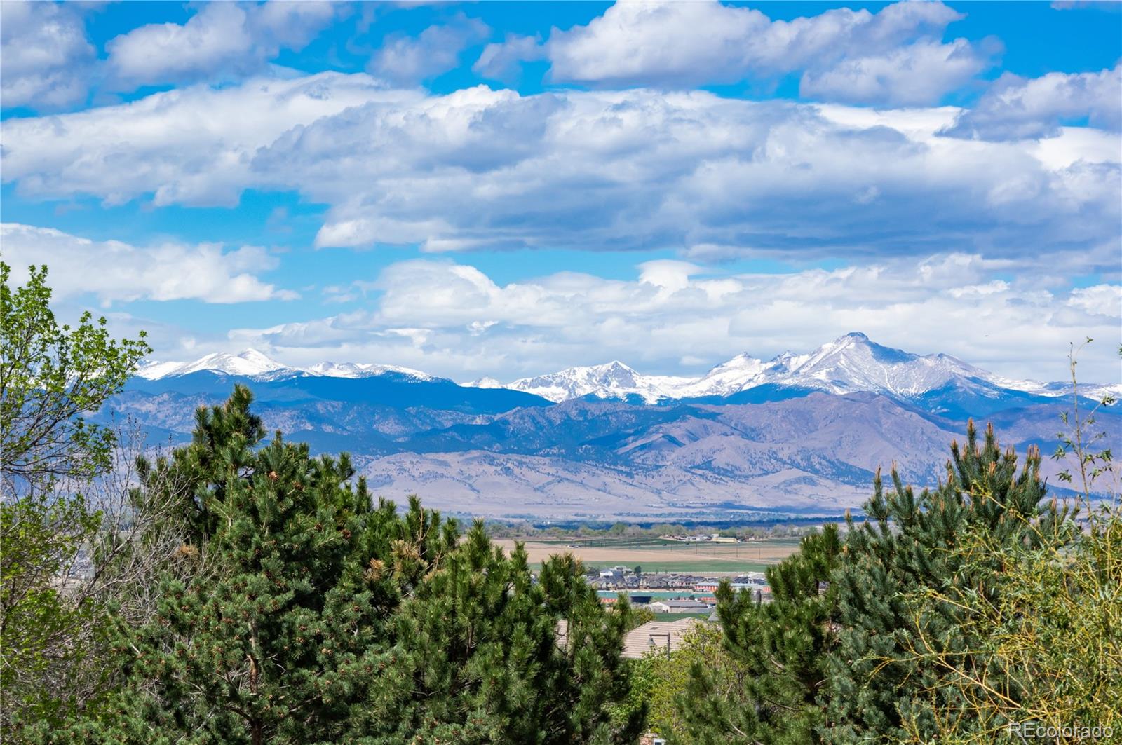MLS Image #43 for 16461  prospect lane,broomfield, Colorado