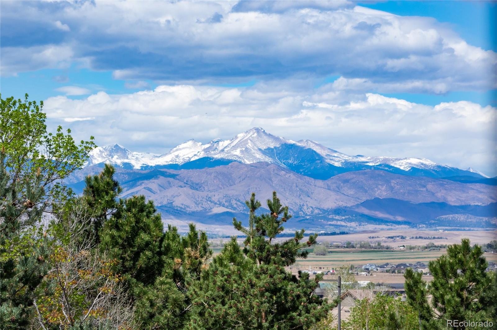 MLS Image #44 for 16461  prospect lane,broomfield, Colorado