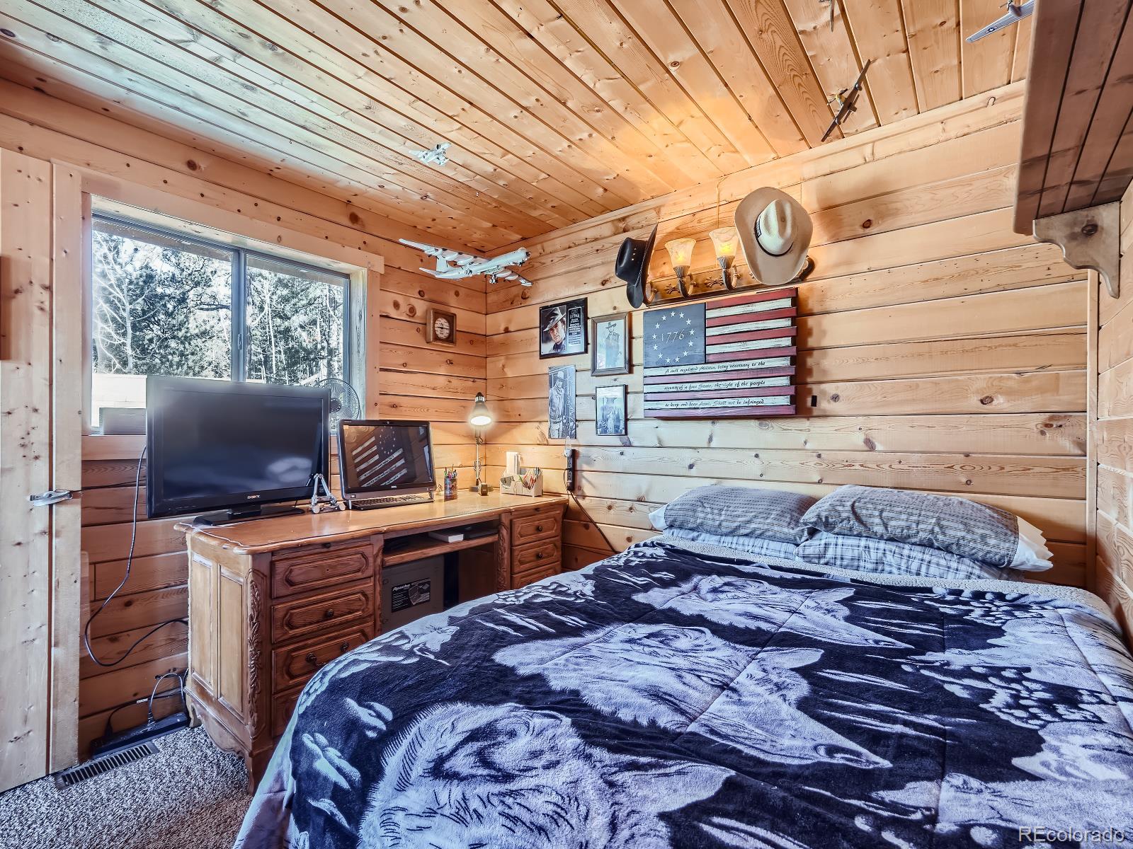 MLS Image #12 for 139  hayes road,bailey, Colorado