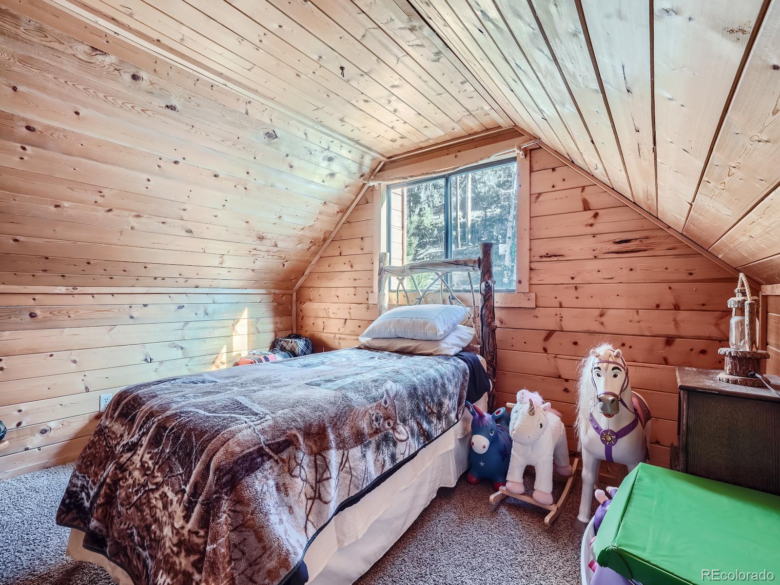 MLS Image #14 for 139  hayes road,bailey, Colorado