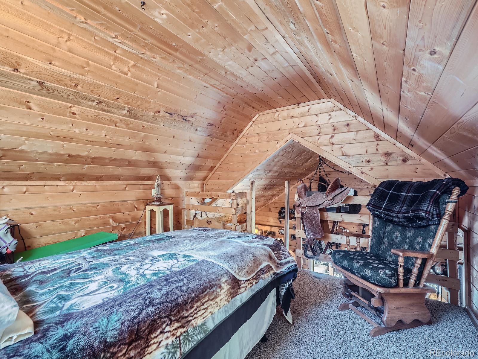 MLS Image #15 for 139  hayes road,bailey, Colorado