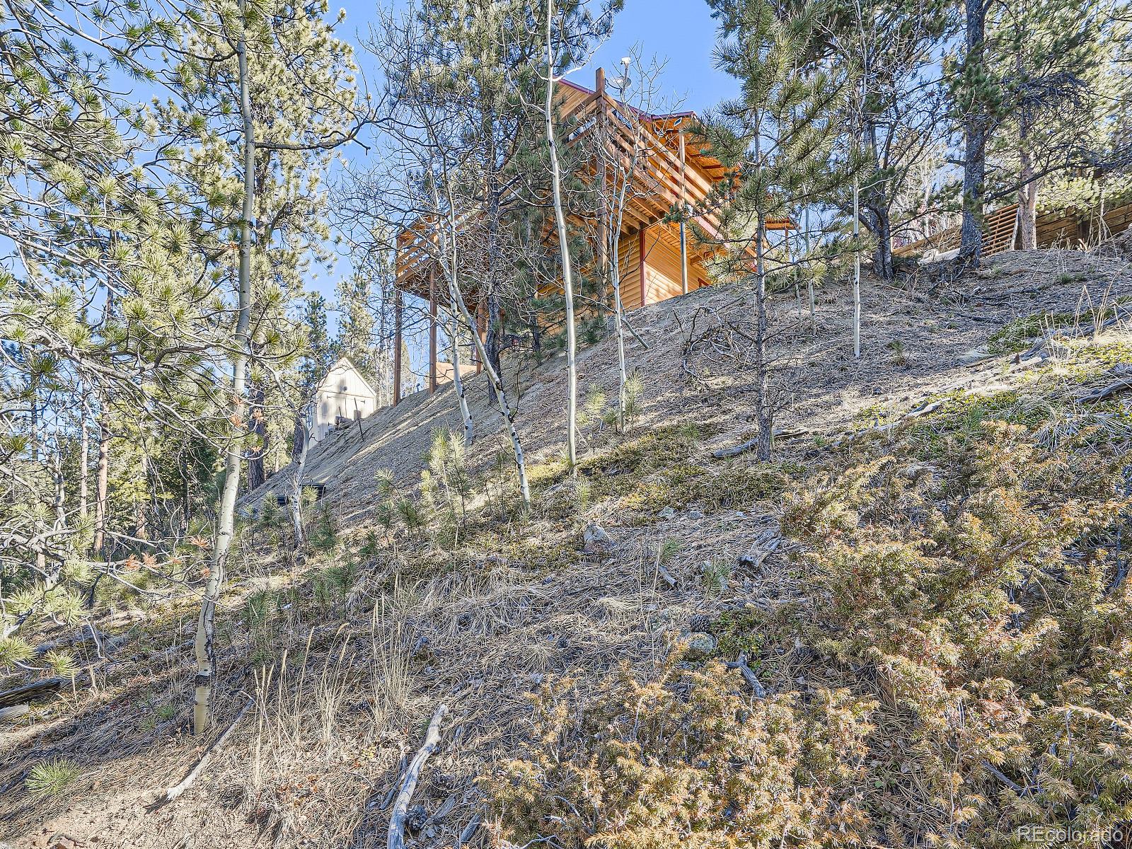 MLS Image #24 for 139  hayes road,bailey, Colorado
