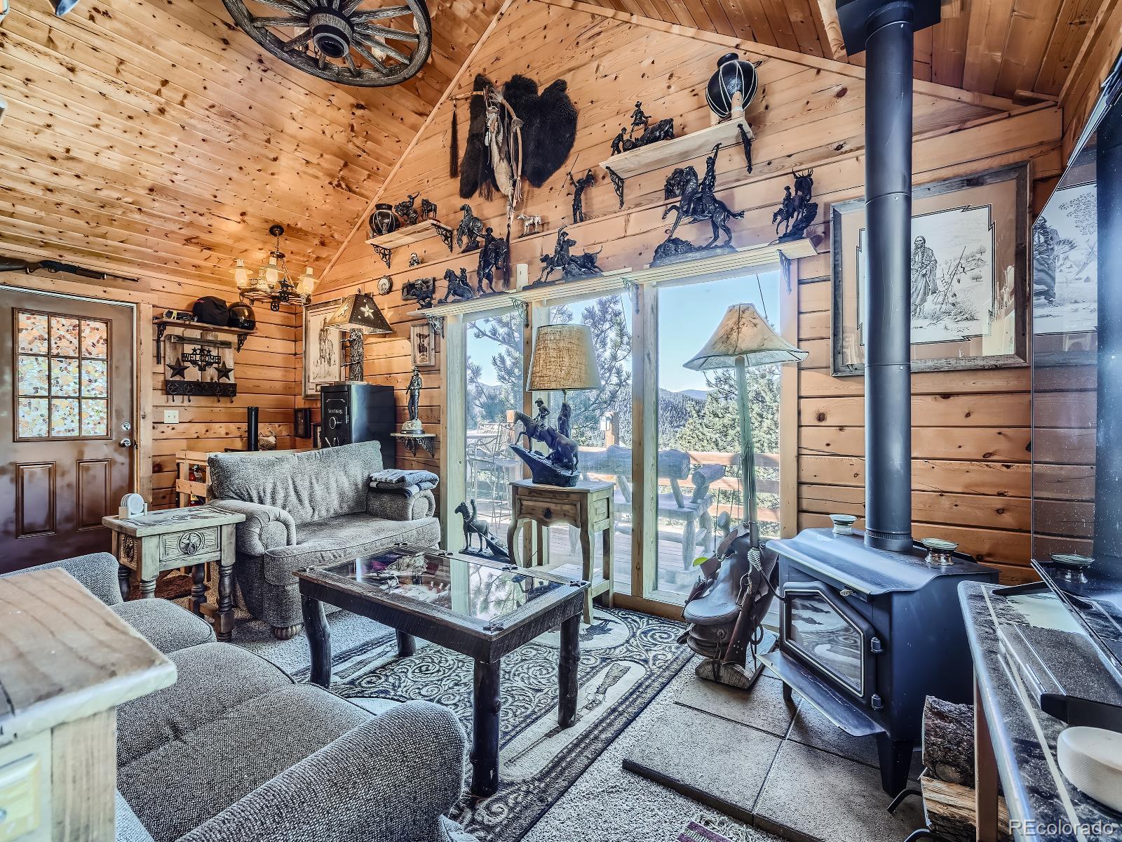 MLS Image #7 for 139  hayes road,bailey, Colorado