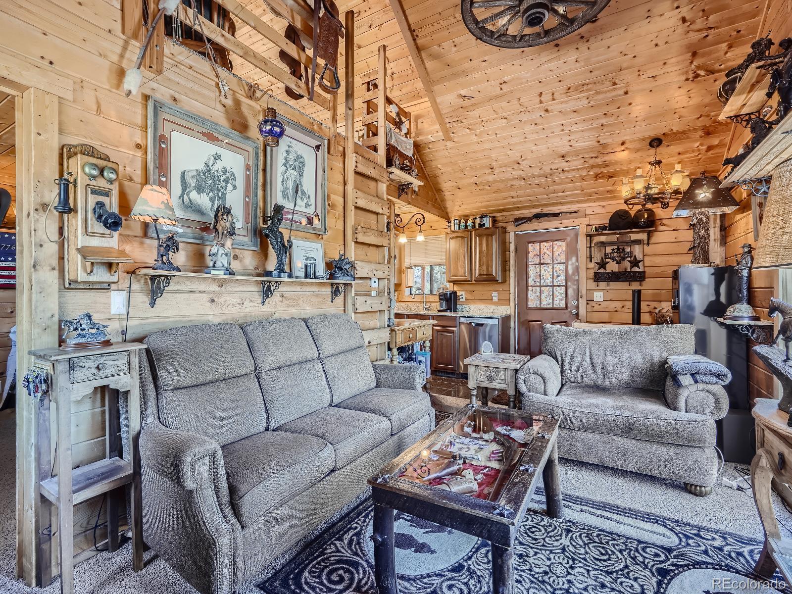 MLS Image #8 for 139  hayes road,bailey, Colorado