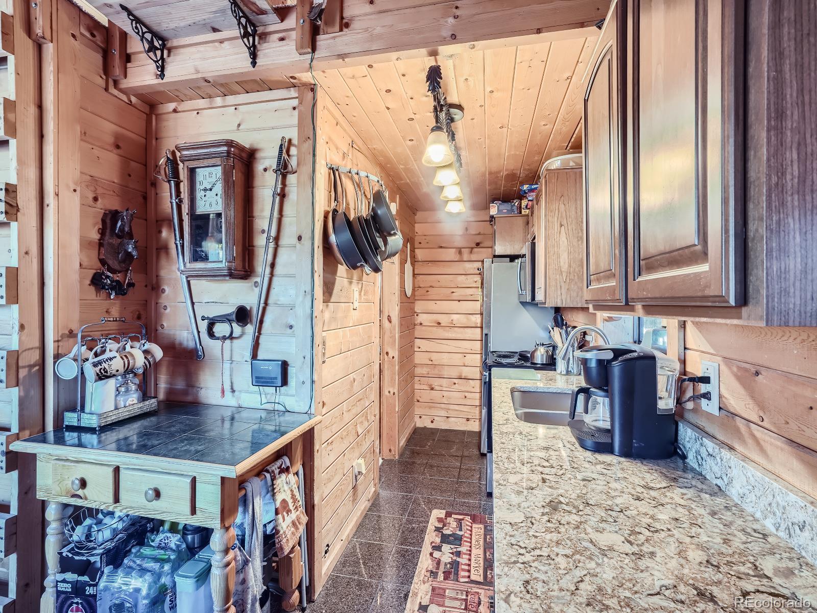 MLS Image #9 for 139  hayes road,bailey, Colorado