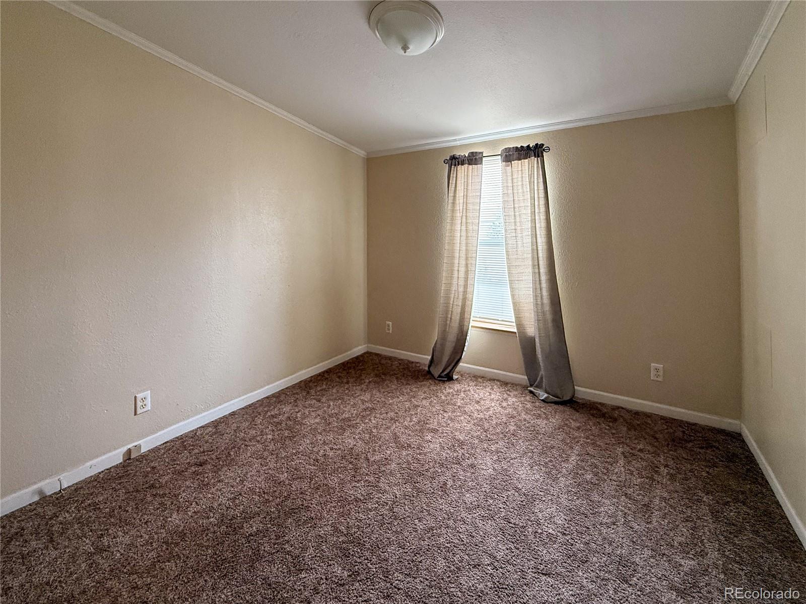 MLS Image #16 for 337  vine street,burlington, Colorado