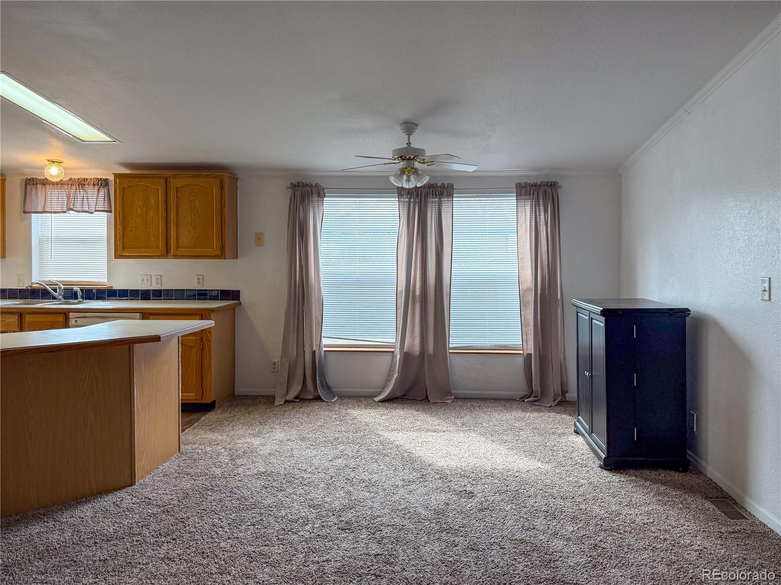MLS Image #5 for 337  vine street,burlington, Colorado