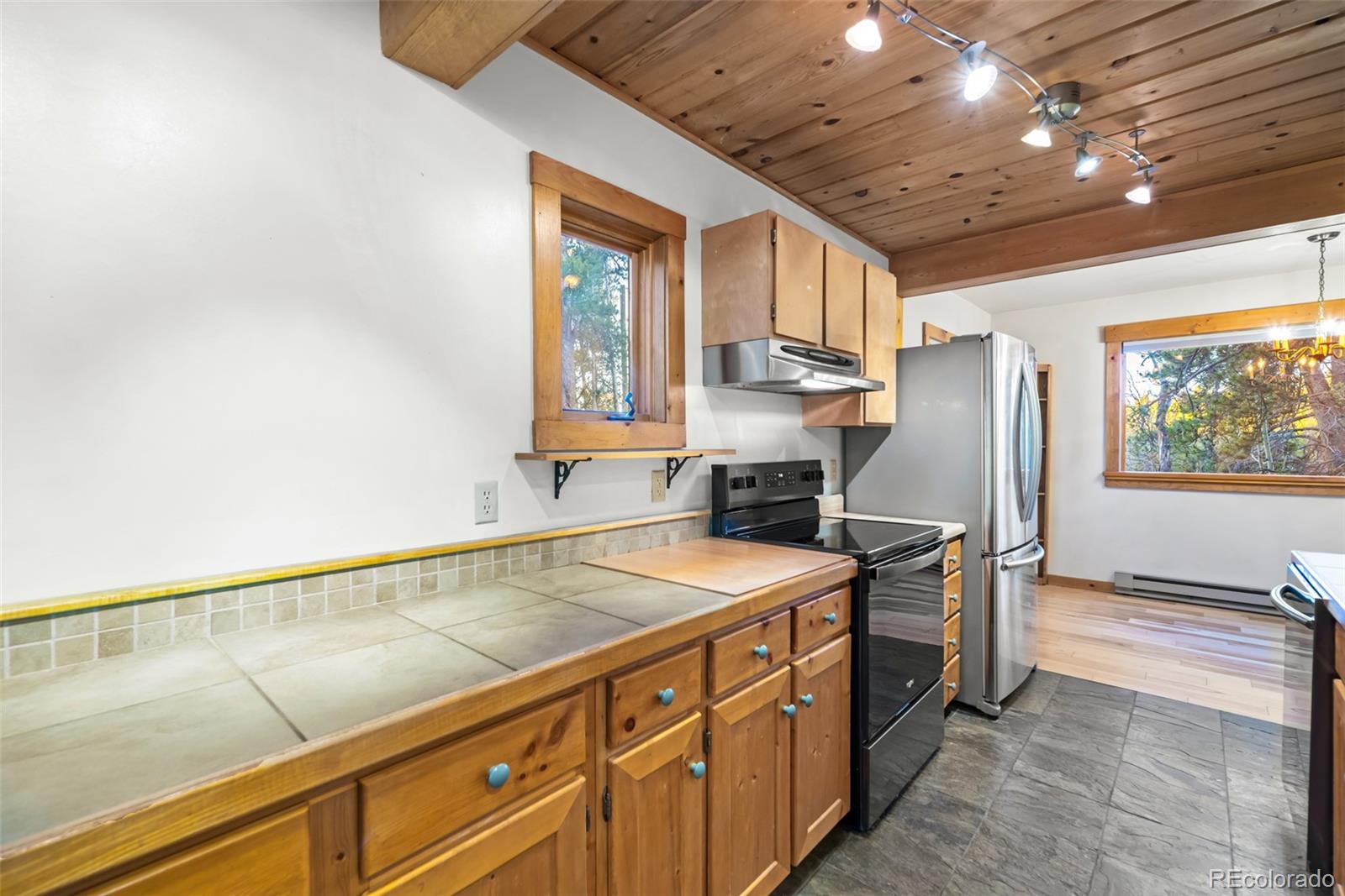 MLS Image #10 for 1305  lakeside drive,fairplay, Colorado