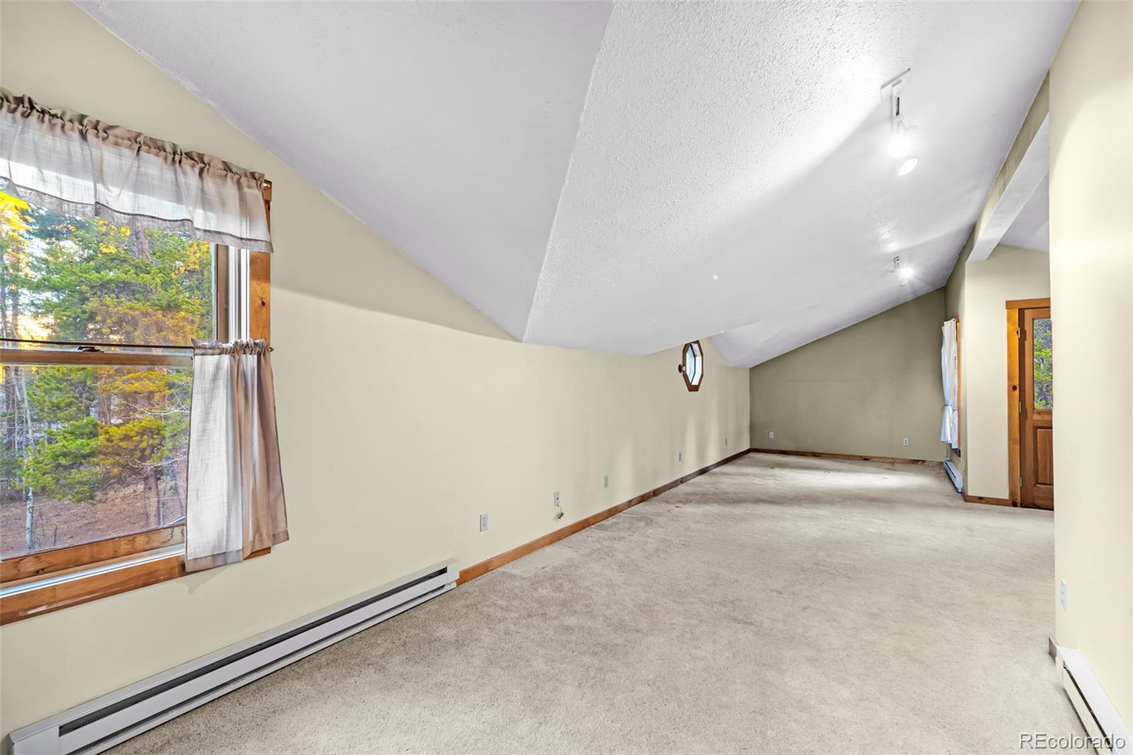 MLS Image #16 for 1305  lakeside drive,fairplay, Colorado