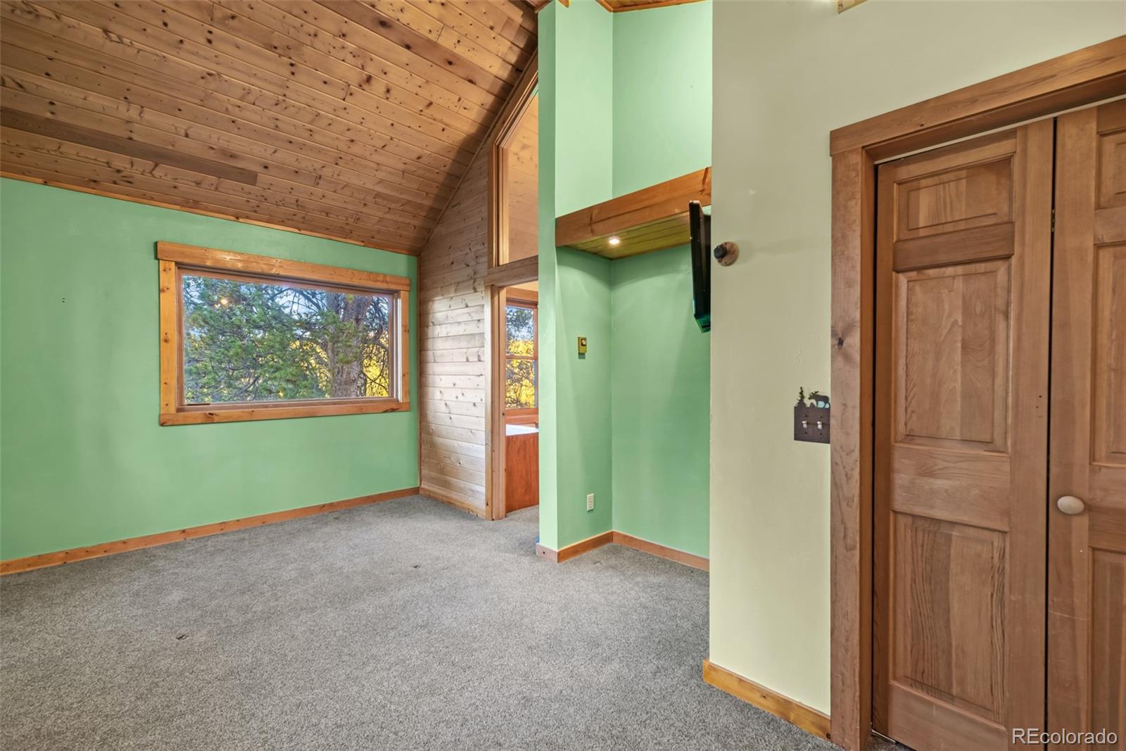 MLS Image #20 for 1305  lakeside drive,fairplay, Colorado