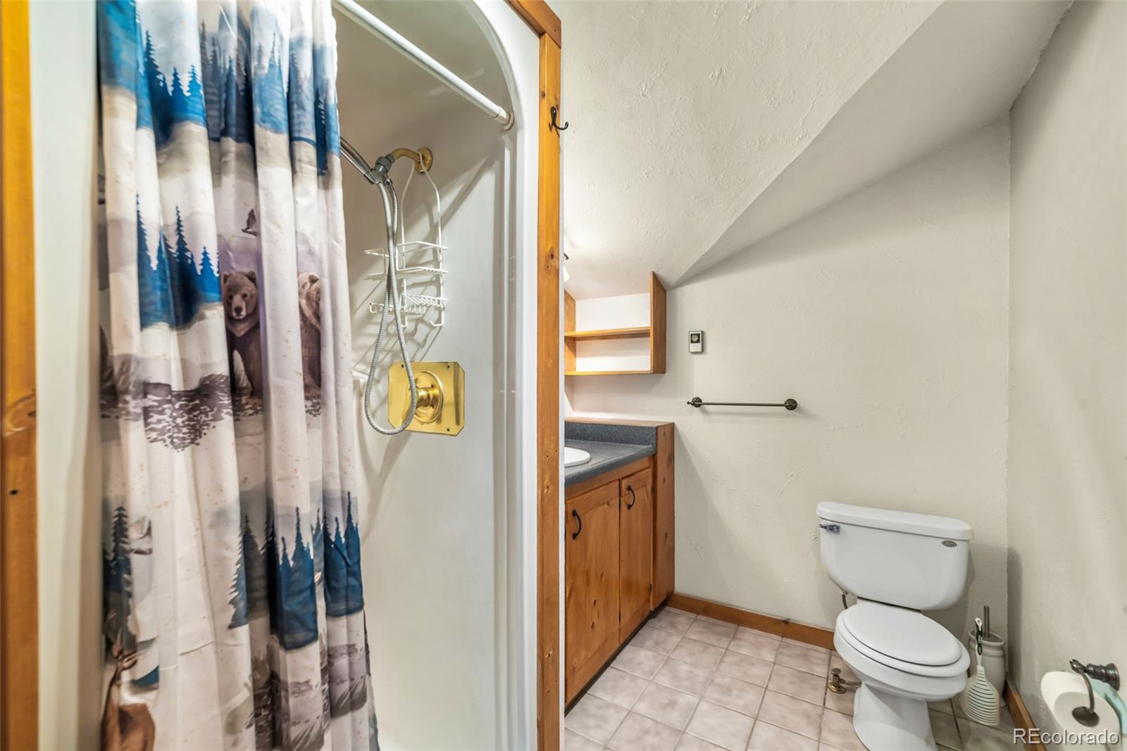 MLS Image #22 for 1305  lakeside drive,fairplay, Colorado