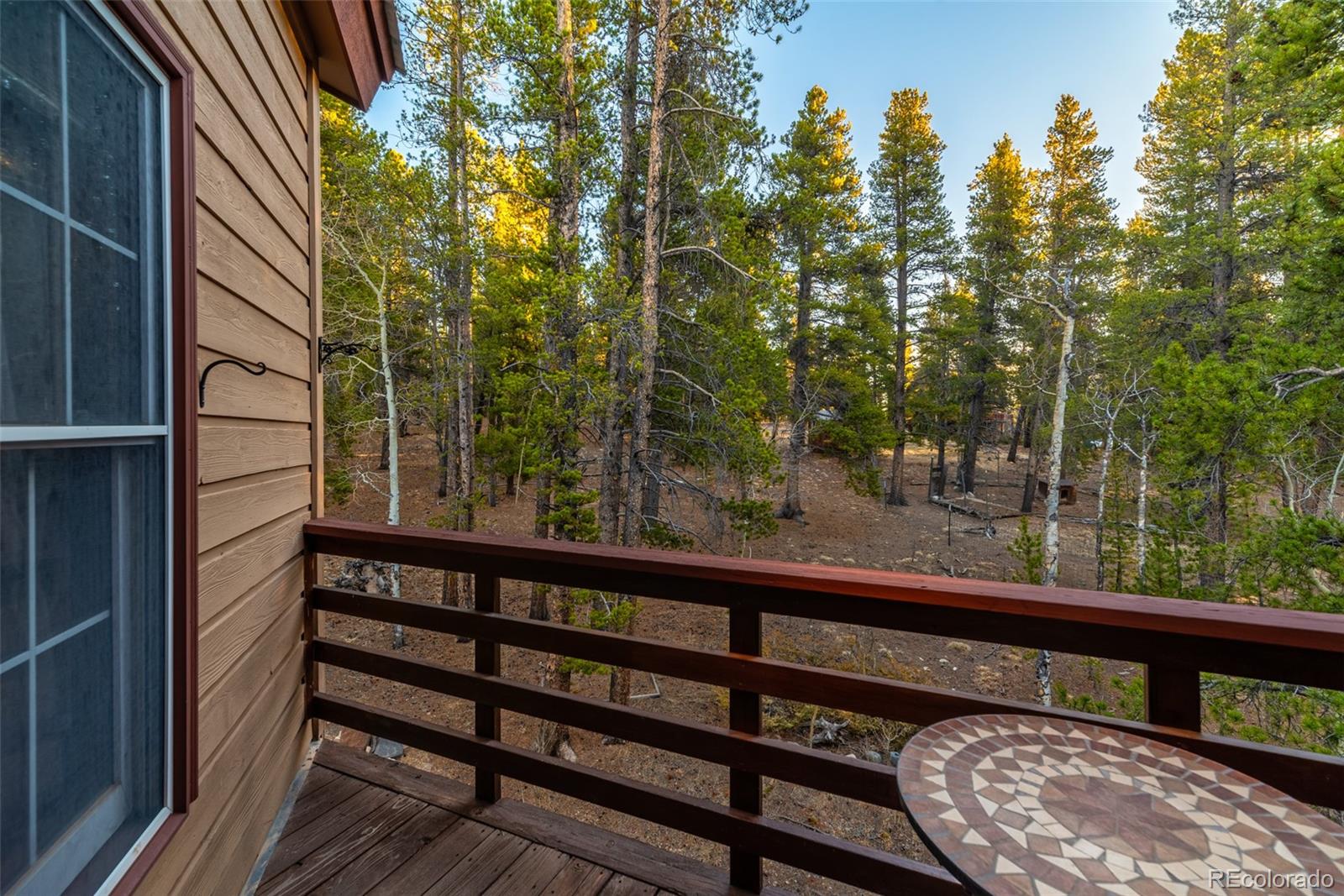 MLS Image #23 for 1305  lakeside drive,fairplay, Colorado