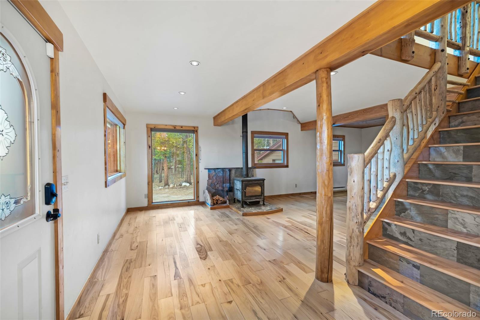 MLS Image #5 for 1305  lakeside drive,fairplay, Colorado