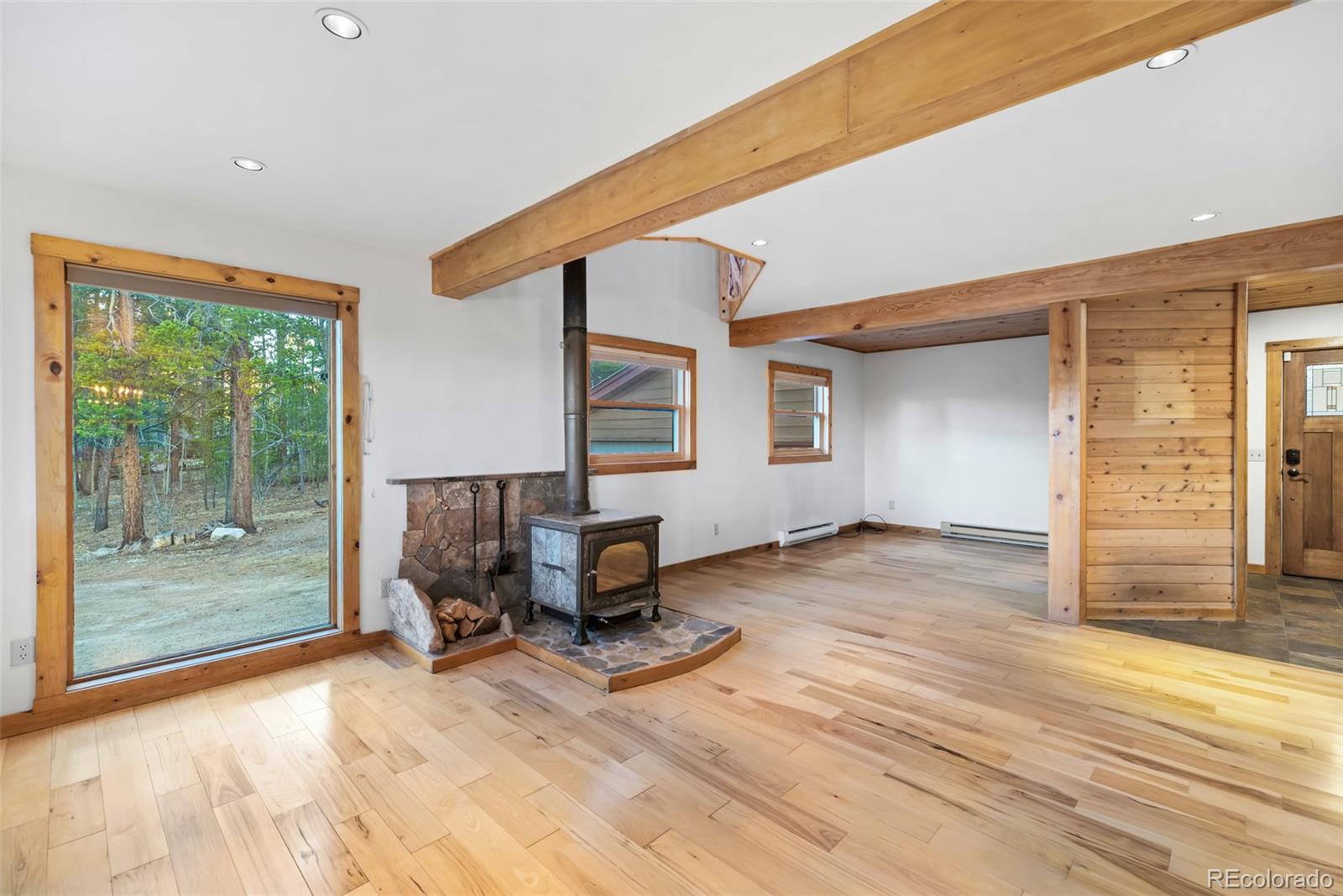 MLS Image #7 for 1305  lakeside drive,fairplay, Colorado