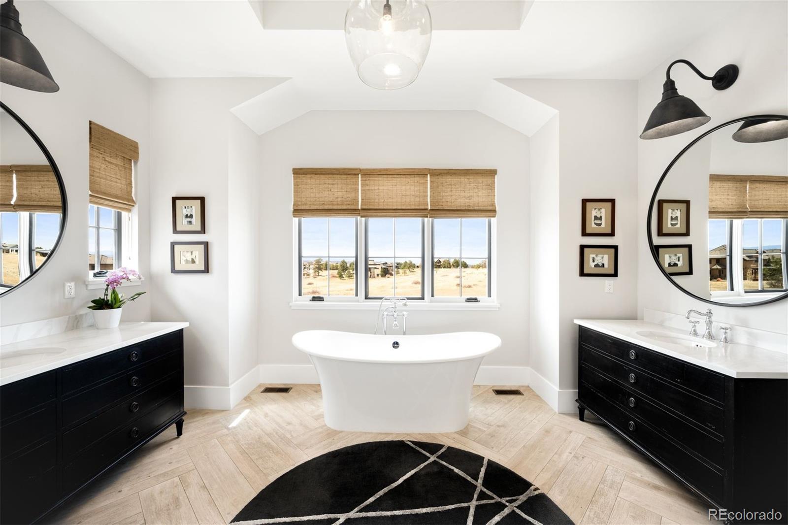MLS Image #17 for 8758  witez court,parker, Colorado