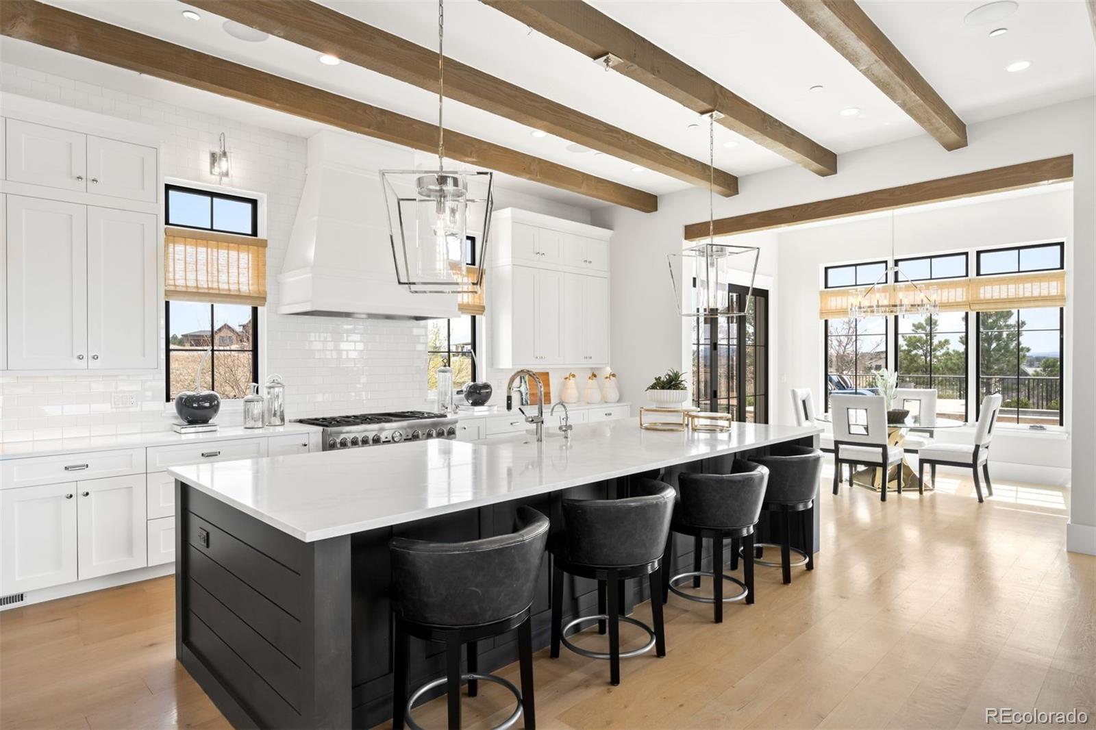 MLS Image #2 for 8758  witez court,parker, Colorado